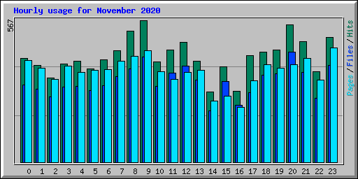 Hourly usage for November 2020